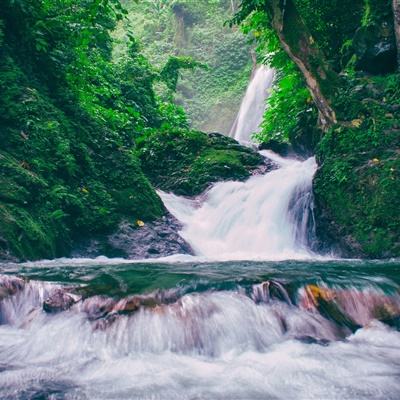 我的模拟世界手游下载